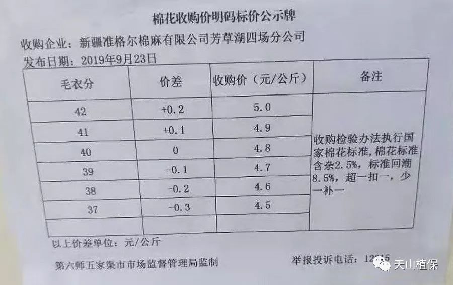 前胡最新收购价，胡前价格动态