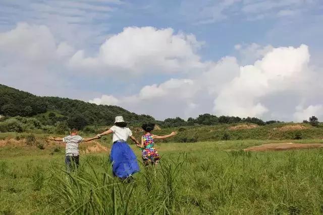 嵩县车村新鲜资讯速递