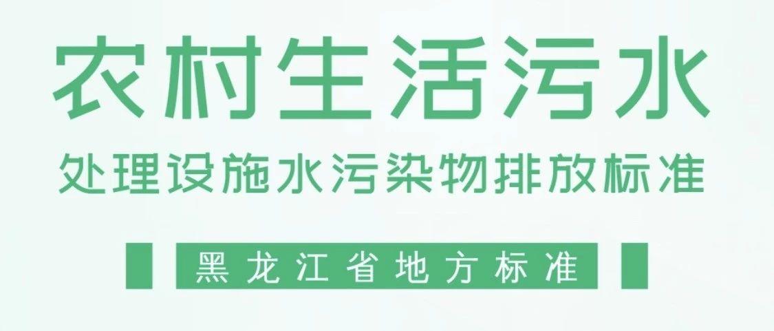 2025年1月17日 第11页