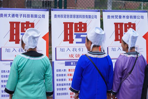 榕江地区人才招聘信息汇总——榕江人才网最新职位发布精选